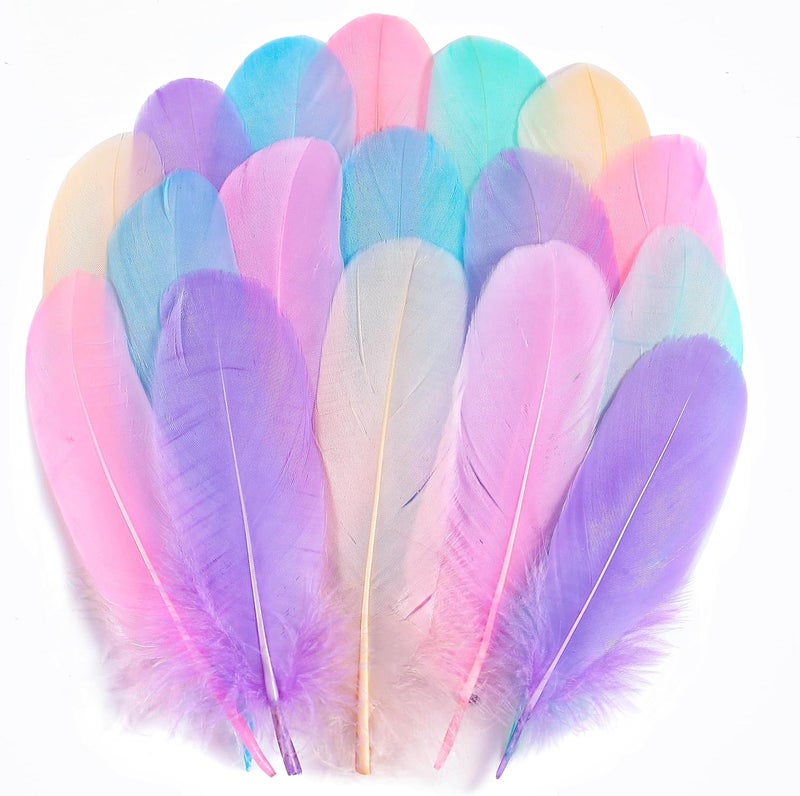 Holmgren Big Macaroon Goose Feathers - 200pcs 5-7inch Natural Goose Feather Bulk for DIY Dream Catcher, Wedding Party Christmas Home Decoration (Macaroon) - Image 1